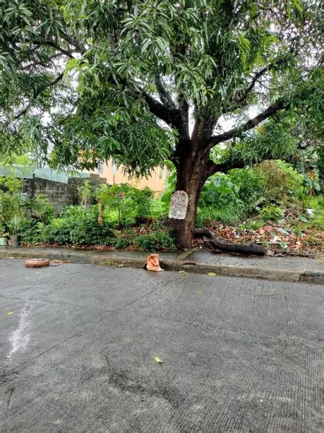 st jude subdivision novaliches|Lots For Sale in St Jude Subd. Sabarte Novaliches Q.C. 4500 to .